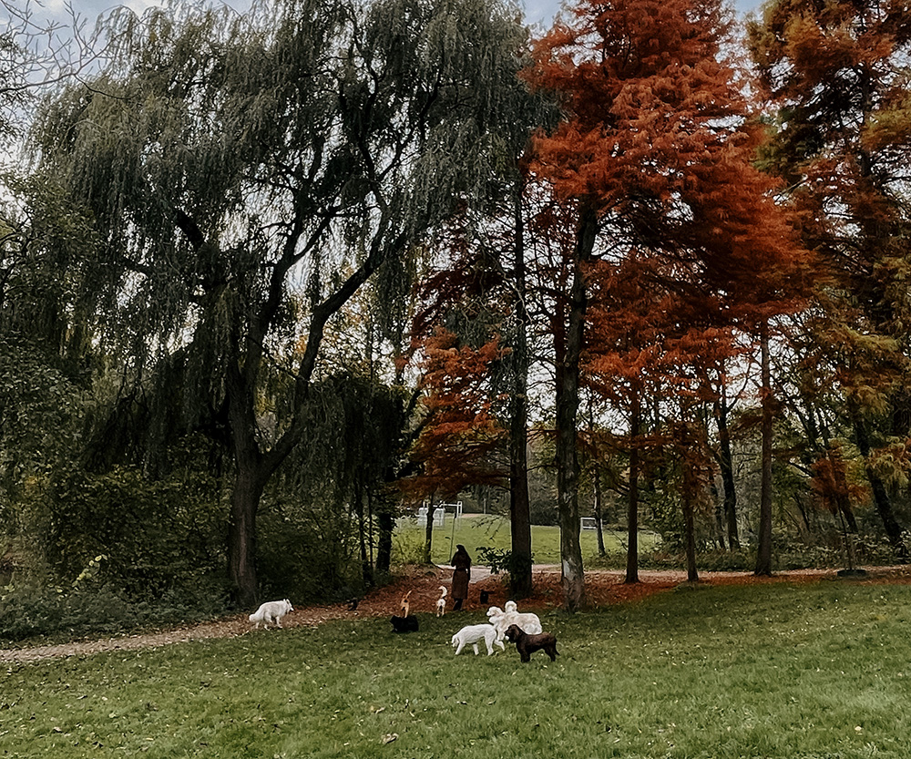 Gwendoline roedel Esenburgerbos klein2